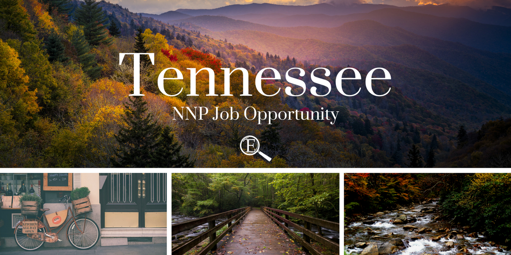 NNP Job Tennessee