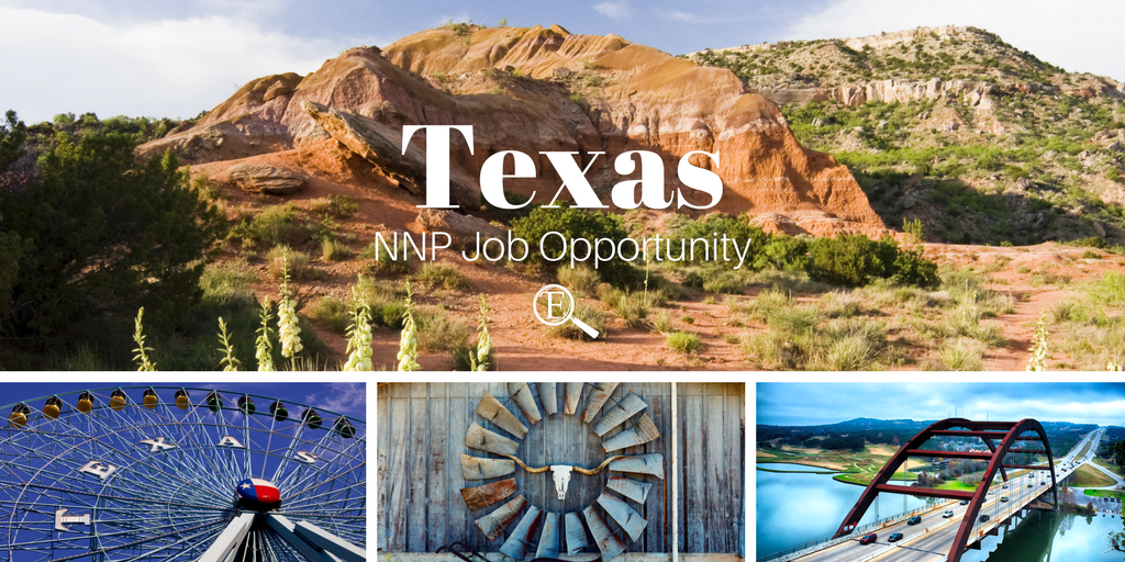 NNP Job Texas